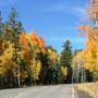 Flagstaff scenic